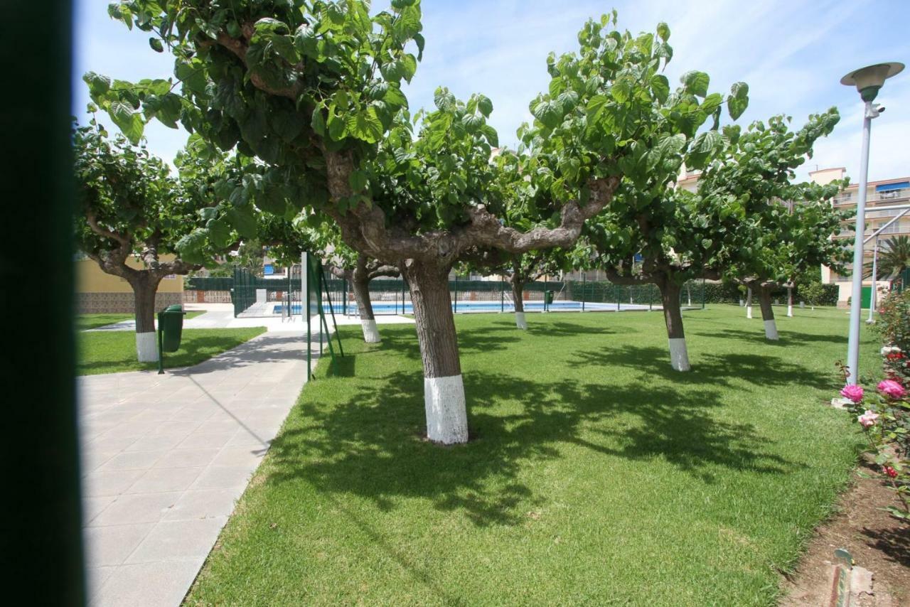 Apartamento Carrer De Victoria Dels Angels, 11 La Pineda Exterior foto